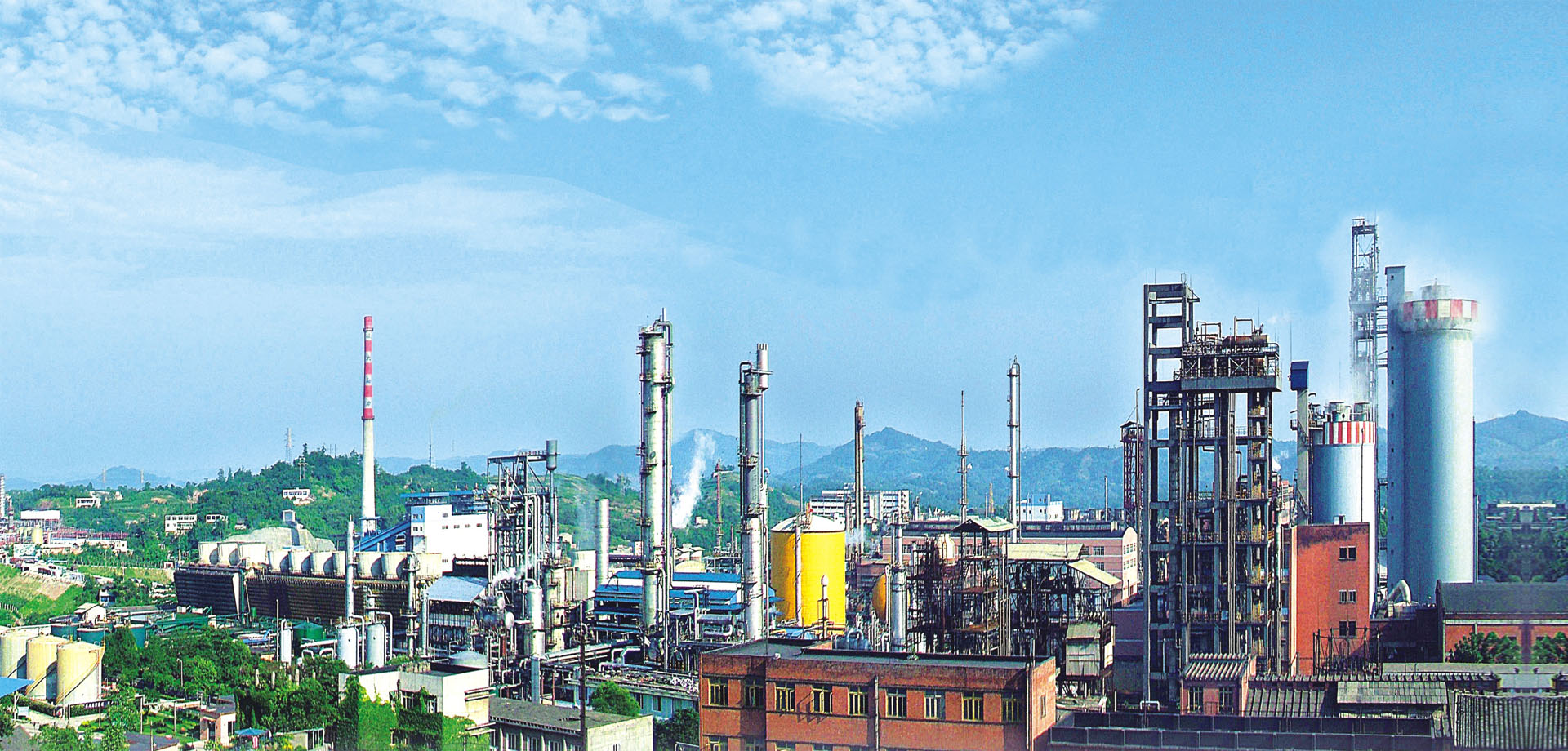 国肥行动 | 专访泸天化九禾冯学宁 紧跟时代步伐，勇立创新潮头