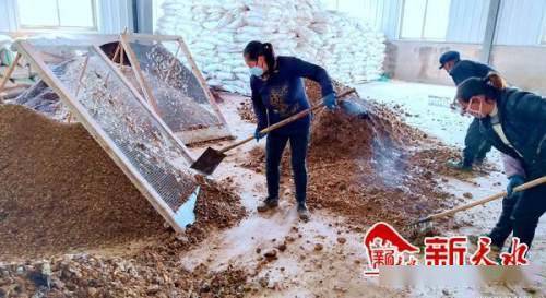 沃土富民路，生态高桥村 发展有机肥料产业，书写乡村振兴新篇章