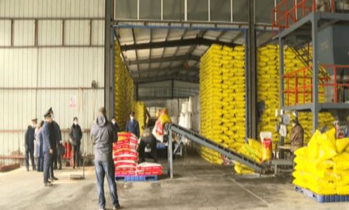 市场监管部门抽检化肥保春耕，筑牢肥料生产质量防线